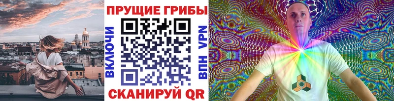 Купить  Пионерский  Галлюциногенные грибы MAGIC MUSHROOMS 